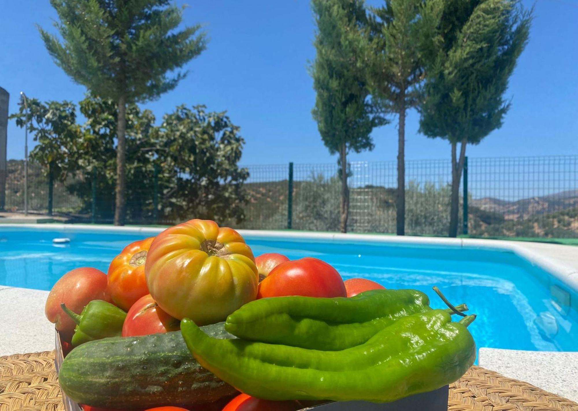 Villa Cortijo El Nevazo Fuentes de Cesna Exterior foto